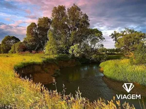 Prodej pole, Ostrava, 5678 m2