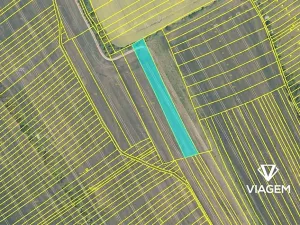 Prodej podílu pole, Traplice, 1103 m2