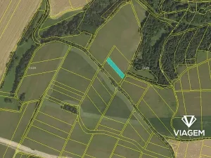 Prodej pole, Brodek u Konice, 1900 m2