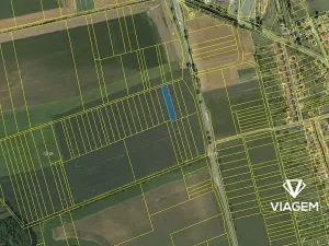 Prodej pole, Bořitov, 2000 m2