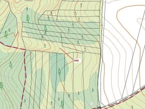 Dražba lesa, Moravské Budějovice, 2338 m2