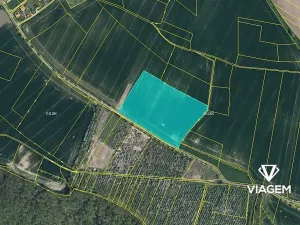 Prodej pole, Dobrovice, 36160 m2