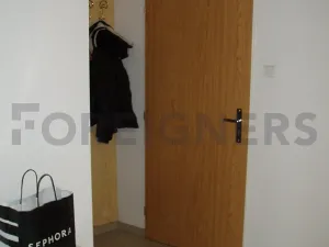 Pronájem bytu 1+kk, Praha - Vinohrady, Lužická, 17 m2