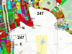 Dražba lesa, Žirovnice, 2931 m2