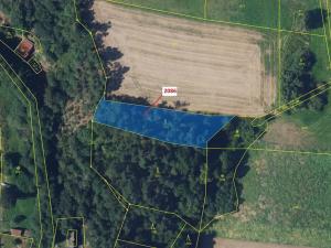 Dražba lesa, Žďárec, 1861 m2