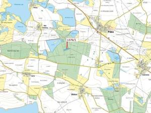 Dražba lesa, Břehov, 13807 m2