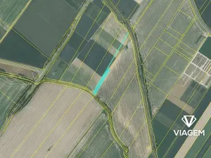 Prodej podílu pole, Hladké Životice, 998 m2