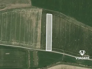 Prodej podílu pole, Dražíč, 641 m2