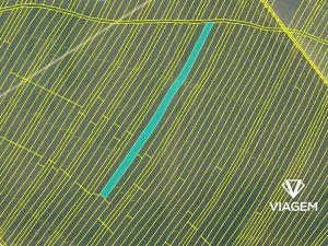 Prodej podílu pole, Moravská Nová Ves, 1640 m2