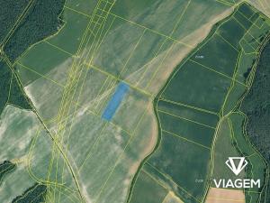 Prodej pole, Plasy, 7205 m2