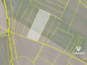 Prodej podílu pole, Jíkev, 5355 m2