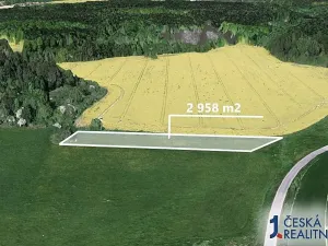 Prodej podílu pole, Čejkovice, 493 m2