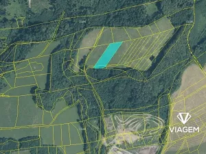 Prodej podílu pole, Životice u Nového Jičína, 972 m2