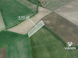 Prodej podílu pole, Veleň, 1530 m2