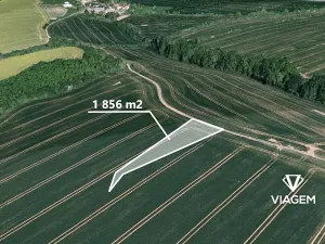 Prodej podílu pole, Zdounky, 696 m2
