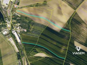 Prodej podílu pole, Ždánice, 1129 m2