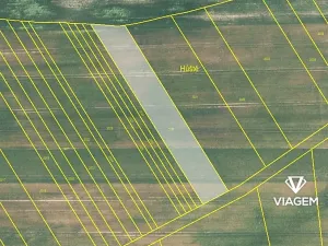 Prodej podílu pole, Újezdec, 955 m2