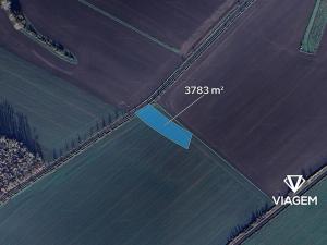 Prodej podílu pole, Mnichovo Hradiště, 1261 m2