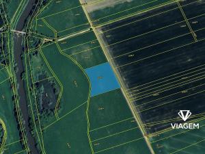 Prodej pole, Dub nad Moravou, 7708 m2