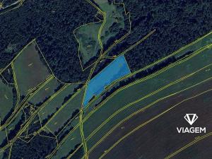 Prodej podílu pole, Staré Těchanovice, 4151 m2