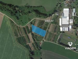 Prodej pole, Třebařov, 6183 m2