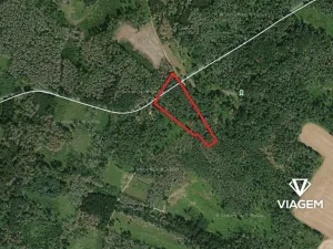 Prodej lesa, Račice, 5005 m2