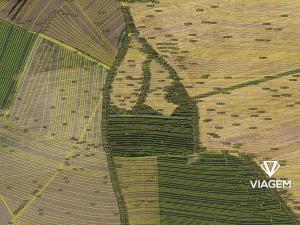 Prodej podílu lesa, Hluk, 547 m2