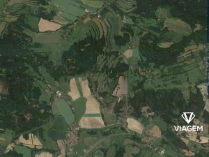 Prodej podílu lesa, Kravaře, 787 m2