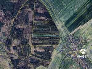 Prodej podílu lesa, Budětsko, 990 m2