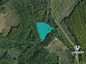 Prodej lesa, Doubravy, 22389 m2