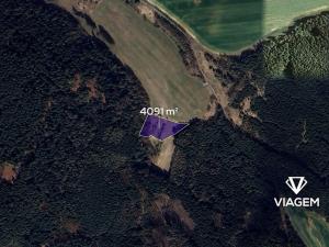 Prodej lesa, Březina, 4091 m2