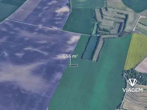 Prodej pole, Těšany, 656 m2