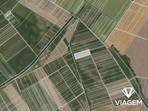 Prodej podílu pole, Moravský Žižkov, 2017 m2