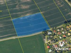 Prodej pole, Olešnice v Orlických horách, 7039 m2