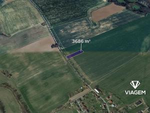 Prodej podílu pole, Vilémov, 921 m2