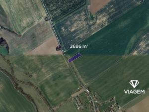 Prodej podílu pole, Vilémov, 921 m2