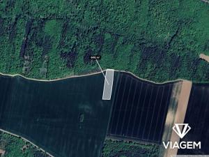 Prodej pole, Nová Ves, 6491 m2