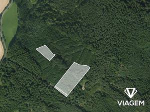 Prodej lesa, Březina, 18560 m2