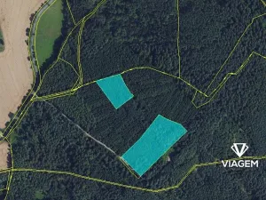 Prodej lesa, Březina, 18560 m2