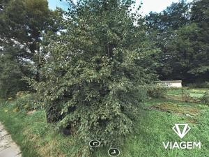 Prodej podílu pozemku pro bydlení, Bystřice, 174 m2