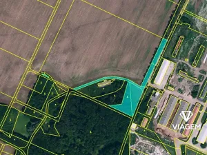 Prodej podílu pole, Čejkovice, 1226 m2