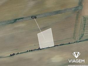 Prodej podílu pole, Zborovice, 1191 m2