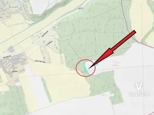 Prodej lesa, Třemošná, 1543 m2