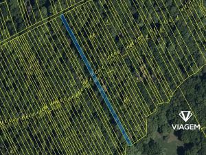 Prodej lesa, Kněždub, 997 m2