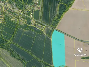 Prodej podílu pole, Horšovský Týn, 3914 m2