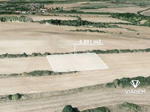 Prodej pole, Tachlovice, 4891 m2