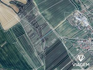 Prodej podílu pole, Traplice, 501 m2