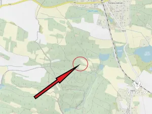 Prodej lesa, Pačejov, 539 m2