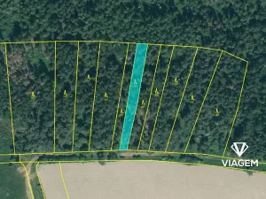 Prodej lesa, Bílov, 2331 m2