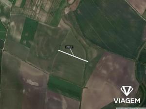 Prodej podílu pole, Brumovice, 1980 m2